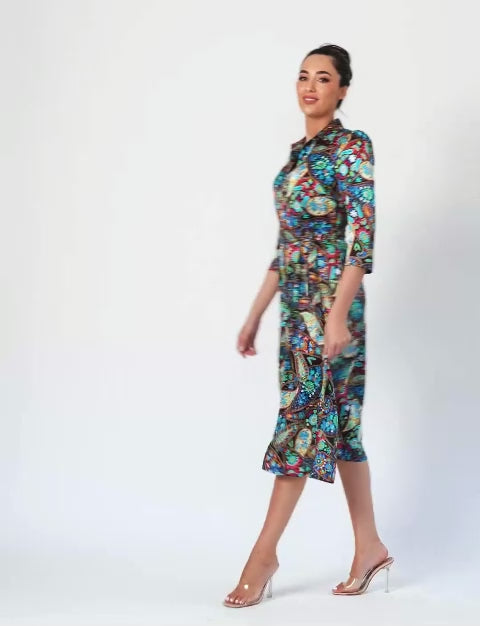 Paisley 'Kashmir' Limited Edition 100% Silk Shirtdress